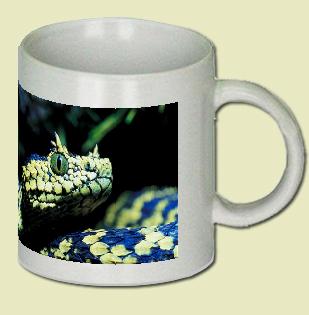 Usambara Mountain viper Coffee Mug