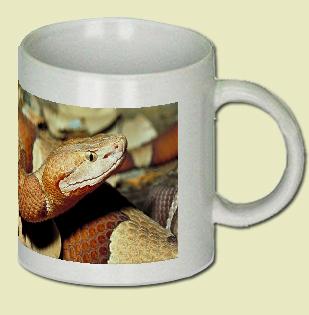 Broad-banded copperhead Coffee Mug