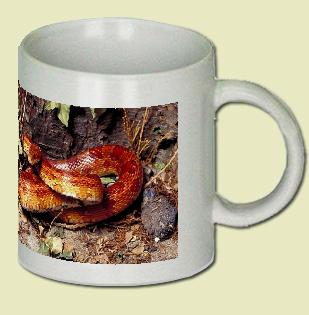 Corn snake Coffee Mug