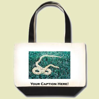 Albino eastern milk snake Tote Bag