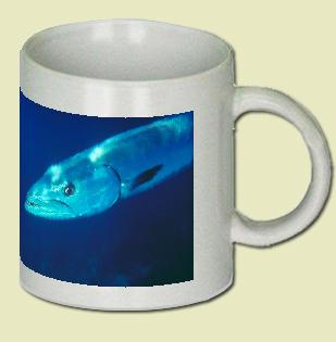 Great Barracuda Coffee Mug