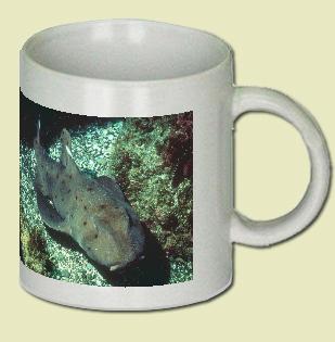 Horn Shark Coffee Mug