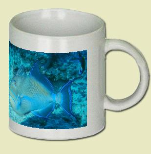 Queen Triggerfish Coffee Mug