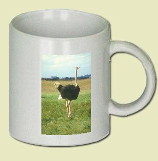 Ostrich Coffee Mug