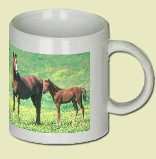 Arabian Horse Coffee Mug