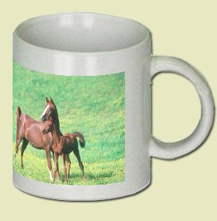 Arabian Horse Coffee Mug