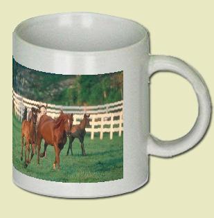 Arabian Horse Coffee Mug