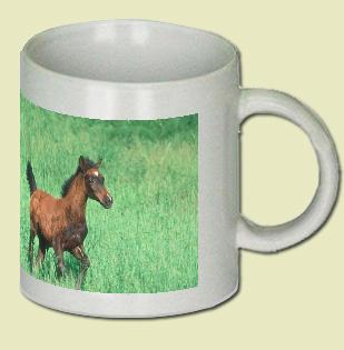 Arabian Horse Coffee Mug