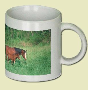 Arabian Horse Coffee Mug