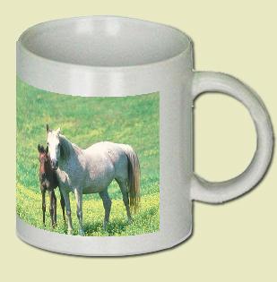 Arabian Horse Coffee Mug