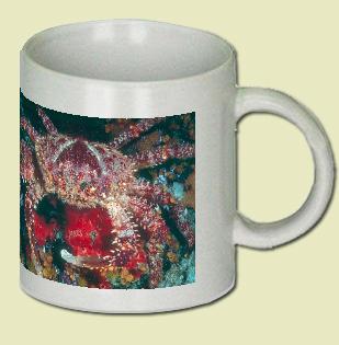 Red Coral Crab Coffee Mug