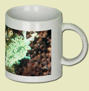 Sea Slug Coffee Mug