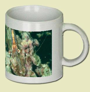 Shrimp Coffee Mug