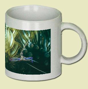 Shrimp Coffee Mug