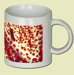 Shrimp Coffee Mug