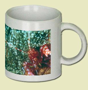 Shrimp Coffee Mug