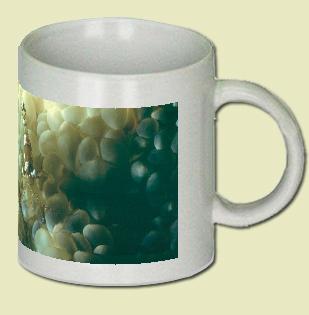 Shrimp Coffee Mug