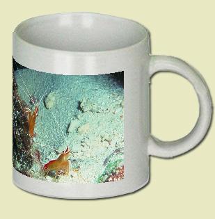 Shrimp Coffee Mug