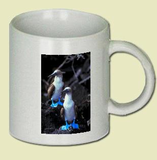 Blue-footed Booby Coffee Mug