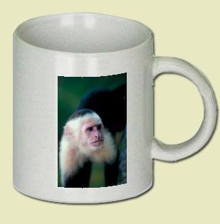 Capuchin Monkey Coffee Mug