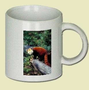 Red Panda Coffee Mug