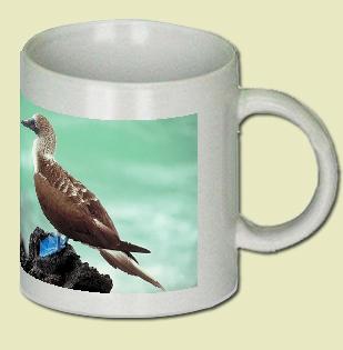 Blue-footed Booby Coffee Mug