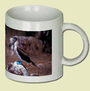 Blue-footed Booby Coffee Mug