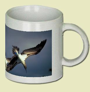 Blue-footed Booby Coffee Mug