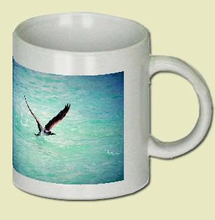 Blue-footed Booby Coffee Mug