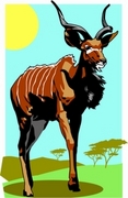 Eland T-Shirt