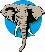 Elephant Magnet