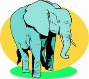 Elephant Magnet