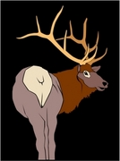 Elk T-Shirt