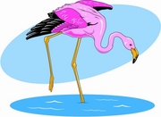 Flamingo T-Shirt