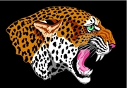 Leopard T-Shirt