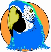 Macaw T-Shirt