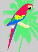 Macaw T-Shirt