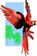 Macaw T-Shirt