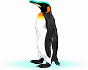 Penguin T-Shirt