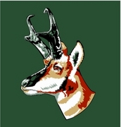 Pronghorn Mousepad