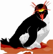 Rockhopper Penguin T-Shirt