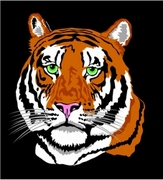 Tiger T-Shirt