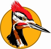 Woodpecker Magnet