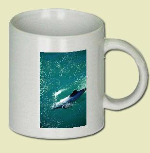 Dolphin Coffee Mug