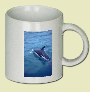 Dolphin Coffee Mug