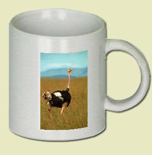 Ostrich Coffee Mug