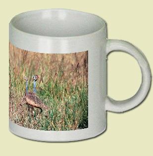 White-bellied Bustard Coffee Mug